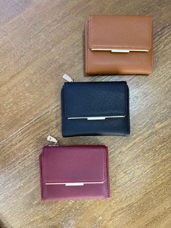 CARTERA MINI.